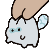 cuspids