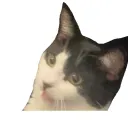 superedgyname666