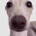 jjmc_