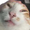 ruskitty