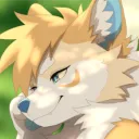 coolkoinu