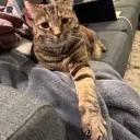 sunnybuddy6