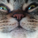 helbitz#2003's avatar