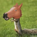 adelego