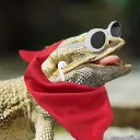 charthewise