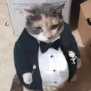 noxyle
