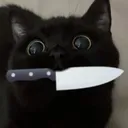meyv