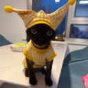 Discord Avatar