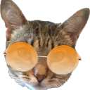 funkymonk27