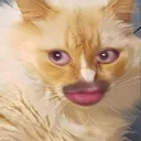 rtrb