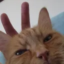 rtrb