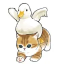 starducksc
