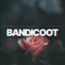 .bandicooot