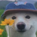 duocar