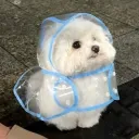 curtisdn_