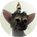 sandwolfy