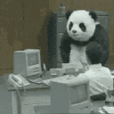 thepandaman
