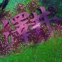 sawaii