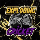 exploding_cricket