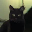 fiyuz