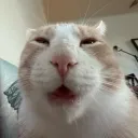 _ctxz