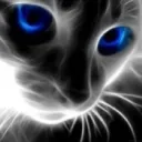 blueyescat