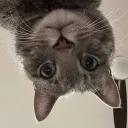 souphabits