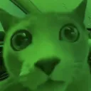 dacky