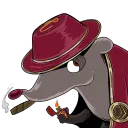 cavyd