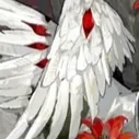 profane.angel