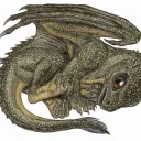 kytalie
