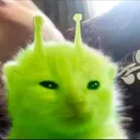 polygonpapi