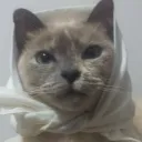 ma.rina