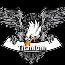 titanium381
