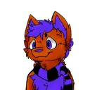 novelwright