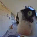 mikiguy