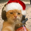 avatar Lucas 🎄🎁✨
