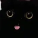 i_pudding