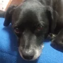 meira1