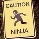 ahoboninja
