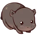 evizie