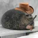 corgifan2