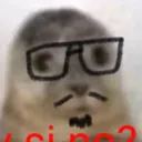 maurimo
