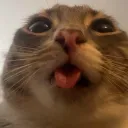 asada_sg