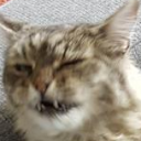 smoen1996445's Avatar