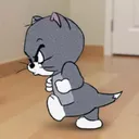 raporlu