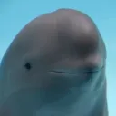 randomhyperone