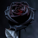 avatar Sith Lord "Darth" Renexor