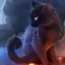 maxxycat