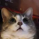 microjelly